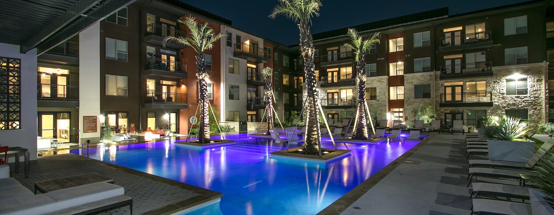 a swimming pool with palm trees